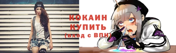 Альфа ПВП Пестово