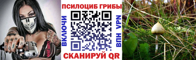 Псилоцибиновые грибы мухоморы  Трубчевск 